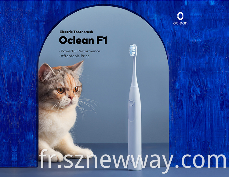 Oclean Toothbrush F1